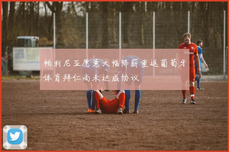 帕利尼亚愿意大幅降薪重返葡萄牙体育拜仁尚未达成协议