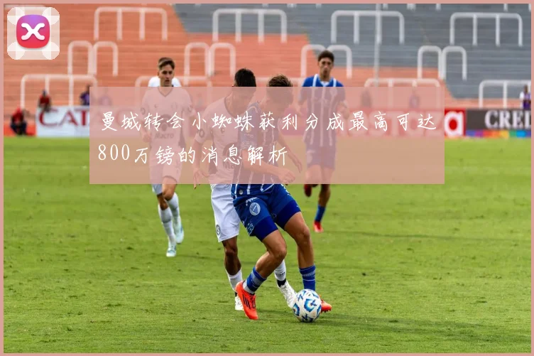 曼城转会小蜘蛛获利分成最高可达800万镑的消息解析