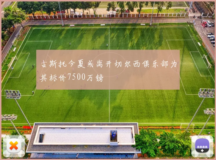古斯托今夏或离开切尔西俱乐部为其标价7500万镑